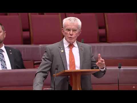 Senate Debates Establishing Immigration Inquiry