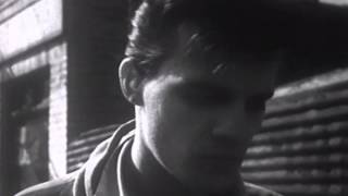 Young Lion by Vampire Weekend