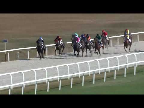 2018.10.14. 01. futam - ZUGLÓI HENDIKEP (V/b.) (szintetikus pálya)