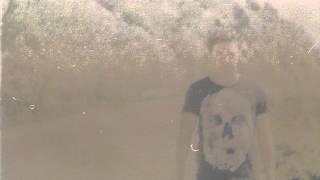 fireflies made out of dust ~ happy jawbone family band