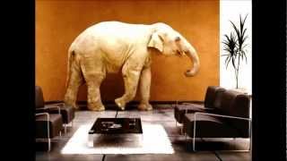 The Elephant in the Living Room - Alcoholism. Al-Anon Interview with Alexa Smith.mp4