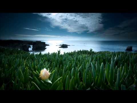 Sebastian Brandt - ID [Trance Together - The Energy Box -2 Christmas Special Live Broadcast]