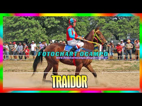 TRAIDOR - Tres Isletas - Chaco 31/03/2024