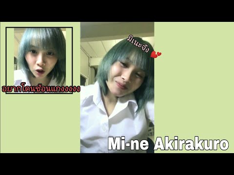 Mi-ne Akirakuro live มิเนะมีความงุ้งงิ้ง