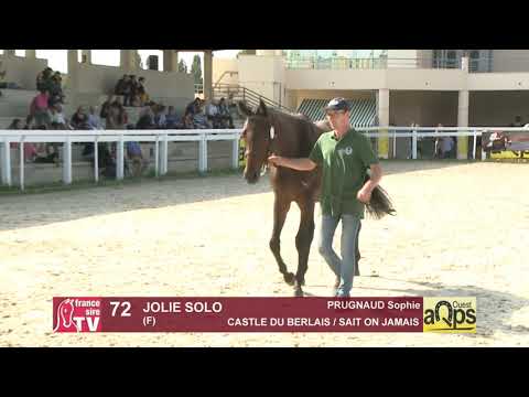 Show AQPS Ouest 2021 - Lot  72