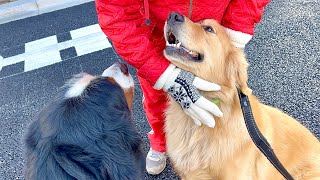 - ジョンがご近所さんに心を開きはじめた…!