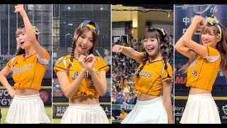 【Passion Sisters】#瑄#維尼#小迪#汶汶#感動黃潮#台湾チアリーディングチーム#中華職棒#CPBL#洲際#20241005