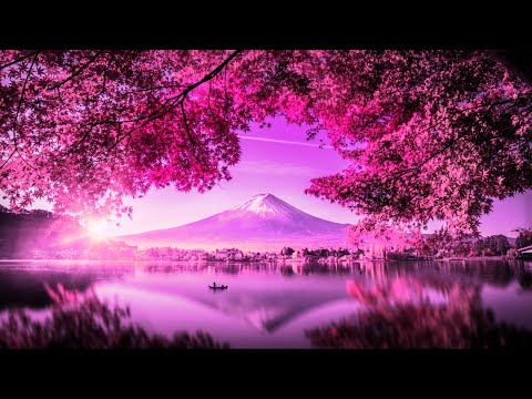 432 Hz Reiki Music For HEALING | Cleanse Negativity & Heal The Past | Emotional Healing