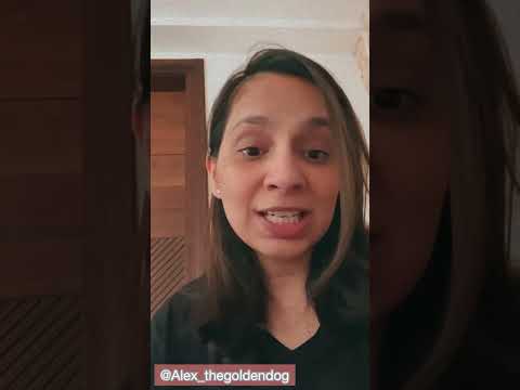 Things you should know before buying a dog.