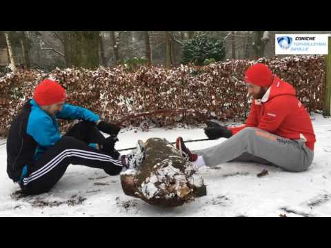 Teambuilding Coniche Topvolleybal Zwolle 7-8 januari 2017