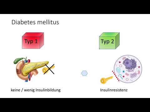 Lernvideo Vergleich Diabetes mellitus Typ 1 und Typ 2