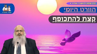 ''קצת להתכופף'' - הוורט היומי מהרב שלמה לוינשטיין שליט''א (הרב שלמה לוינשטיין) - התמונה מוצגת ישירות מתוך אתר האינטרנט יוטיוב. זכויות היוצרים בתמונה שייכות ליוצרה. קישור קרדיט למקור התוכן נמצא בתוך דף הסרטון ''קצת להתכופף'' - הוורט היומי מהרב שלמה לוינשטיין שליט''א (הרב שלמה לוינשטיין) - התמונה מוצגת ישירות מתוך אתר האינטרנט יוטיוב. זכויות היוצרים בתמונה שייכות ליוצרה. קישור קרדיט למקור התוכן נמצא בתוך דף הסרטון