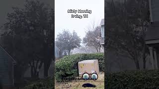 Misty Morning | Texas Winter | Misty Dallas Morning | Texas Mist | Morning Fog