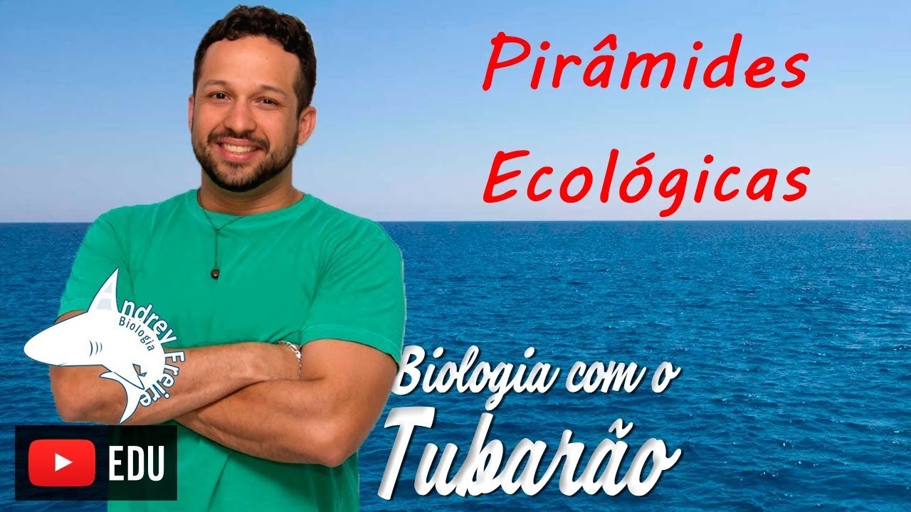 Ecologia  - Pirâmides Ecológicas (número, biomassa e energia)