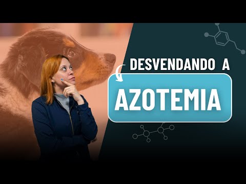Desvendando a Azotemia
