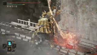 Elden Ring | one horse with twenty-eight stones