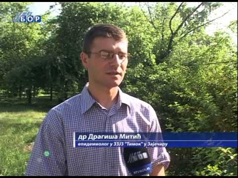 Oprez zbog ebole, 18. avgust 2014. (RTV Bor)