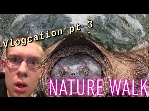 Nature Walk: Vlogcation pt 3