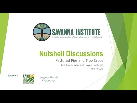 Pastured Pigs + Tree Crops: Dayna Burtness and Eliza Greenman