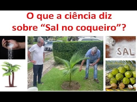 What does science say about "SALT IN THE COCONUT TREE"?