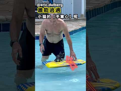 阿公也抵抗不了這麼可愛的小貓咪啊