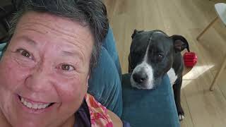 Dinner is not even 10 minutes late...Ruby and Porgie