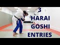 Harai Goshi