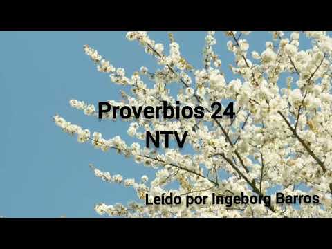 Proverbios 24    NTV