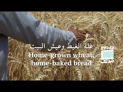 Home grown wheat, home baked bread غلة الغيط وعيش البيت
