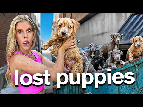 I Found 8 Lost Puppies in a Dumpster
