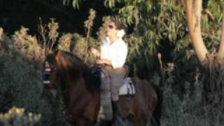 preview picture of video 'Romeria El campillo  alongarvi'