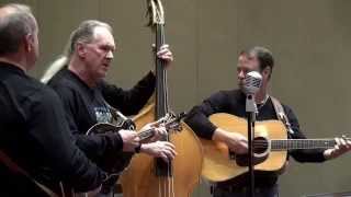 Never Too Late - Dim Lights, Thick Smoke