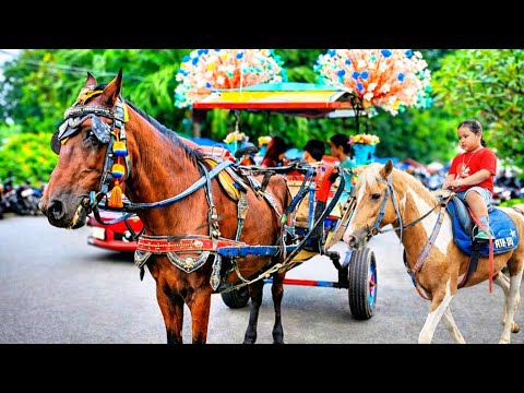 Riding a Special Horse-Drawn Carriage | Full of Cheerful & Educational Children's Songs for Your ...
