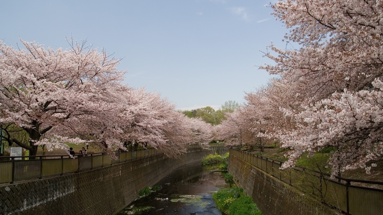 Sizuki5041 のライブ ストリーム