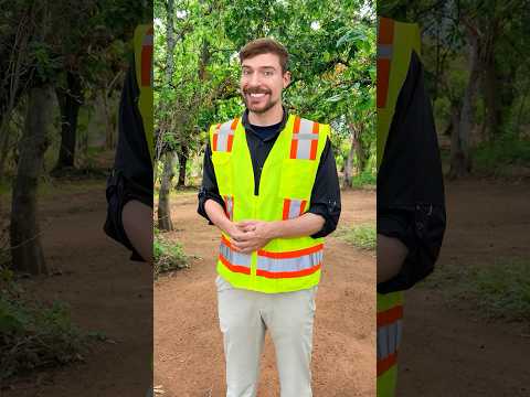 I Built a School in Mexico