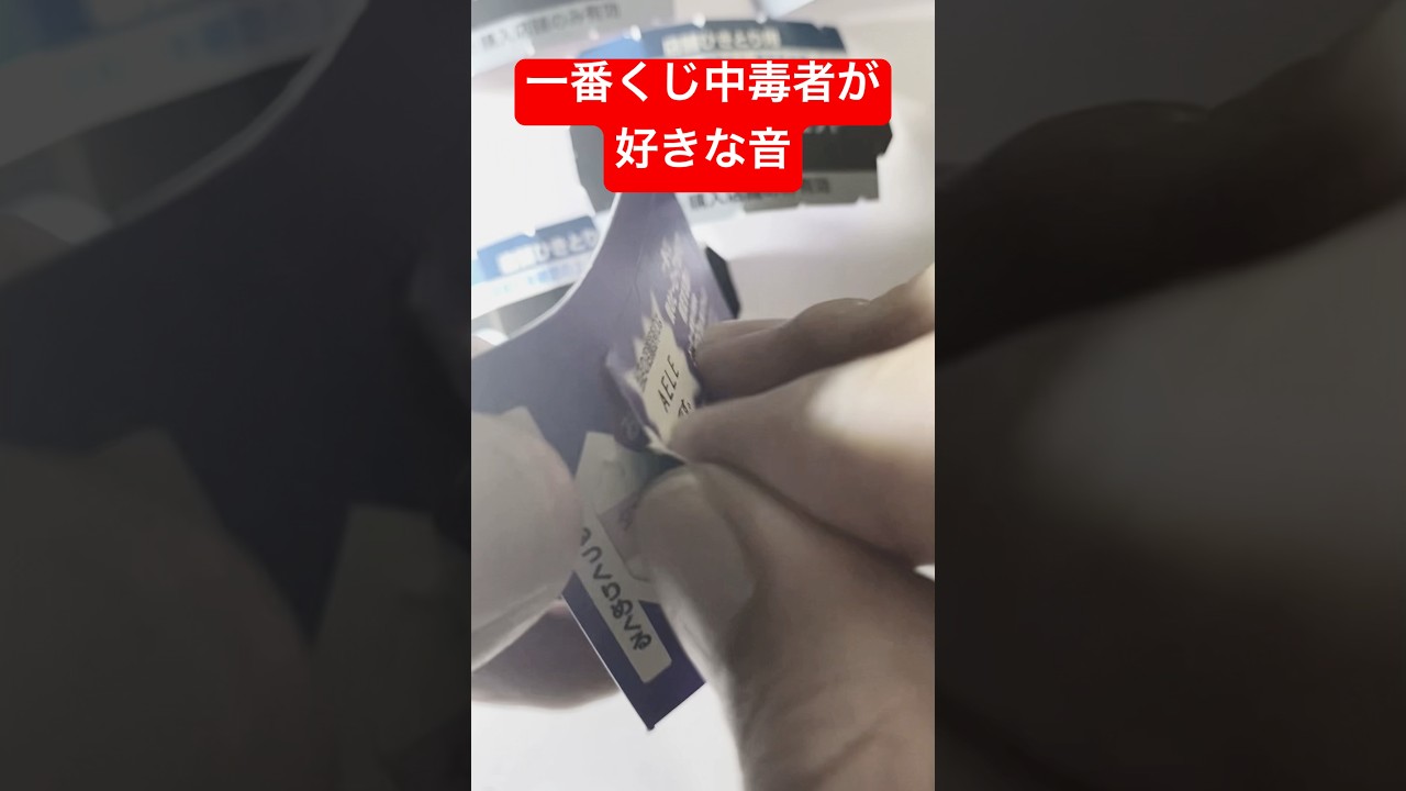 一番くじ中毒者が好きな音と展開　#ヒロアカ #一番くじ