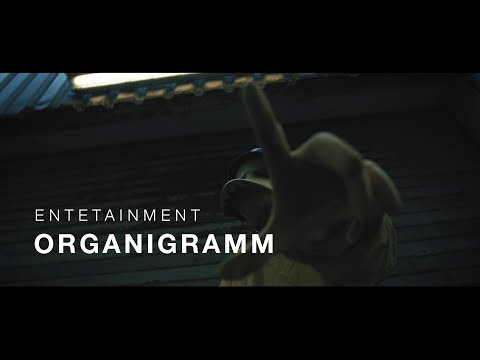 Video thumbnail for Organigramm