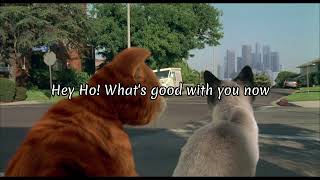 Baha Men .-. Holla 🐱 // Lyrics