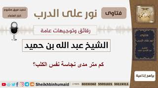 صورة كم متر مدى نجاسة نفس الكلب؟ الشيخ ابن حميد - مشروع كبار العلماء