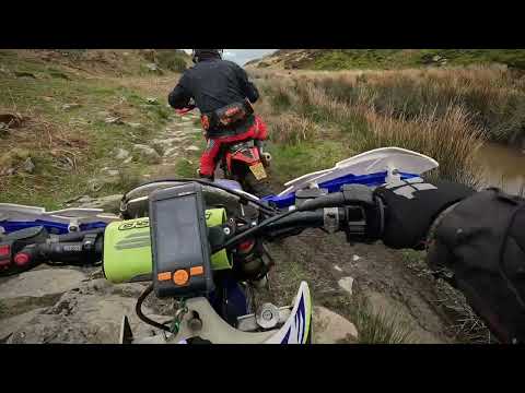 Hafren forest home stay 