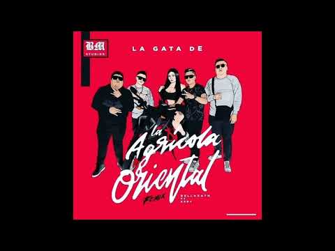 Bellakath, Kery - La Gata De La Agrícola Oriental (Remix) (Audio)