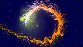 صورة هل يجوز للزوجة طاعة زوجها في الجماع في النهار ؟