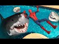 GTA 5 - Megaladon, Big White Shark, Tiger Shark vs SPIDERMAN ep.3 (Epic)