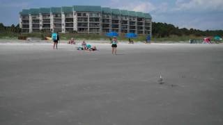 preview picture of video 'On the beach at the Hilton Head Beach and Tennis Resort at low tide'