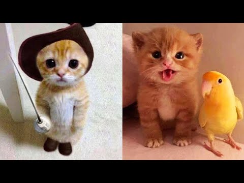 Funniest Baby And Cat Are Best Friends - Cute Babies and Cats Videos # P22