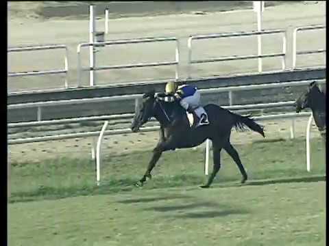 Galoppo 16/08/2017 - 2ª corsa