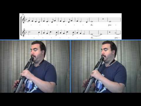 Josquin des Prez - 'Agnus Dei' from Glareanus' Dodecachordon (EWI Duet)