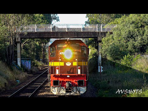 Australian Locomotives 4702 , 4473 & 4464 w/ Southern Aurora Coaches speed past Menangle for Central