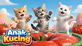 Download lagu LAGU ANAK 🇮🇩 ANAK KUCING MEONG MEONG - KITTEN SONG - LAGU ANAK BALITA VIRAL mp3