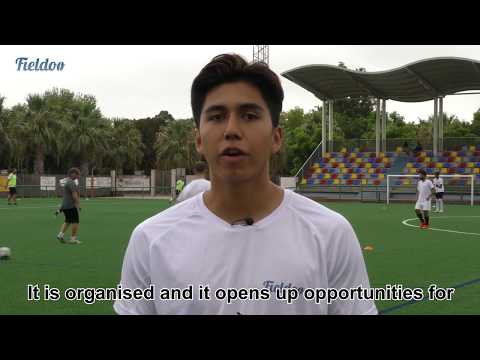 Fieldoo Trial Experience